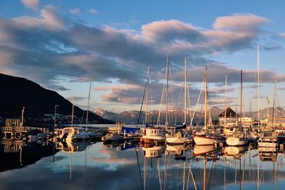 Boats moored at harbor against sky