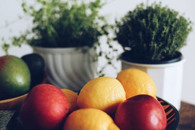 Close-up of apples in bowl on table