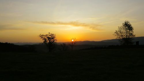 Silhouette trees on field against sky at sunset