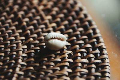 Close-up of shell on table