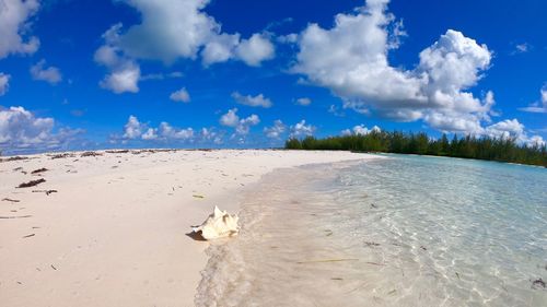 Scenic view of beach against blue sky