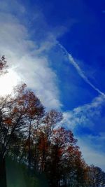 Low angle view of trees against blue sky