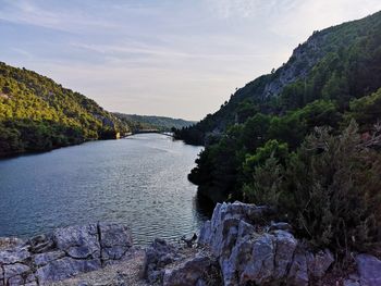 Scenic view of river amidst trees against sky