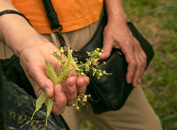 Midsection of man holding plant