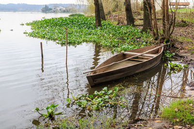 Plants growing by lake against trees