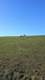 Scenic view of field against clear blue sky