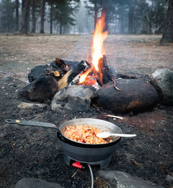 Bonfire on barbecue grill