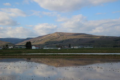 Scenic view of field by lake against sky