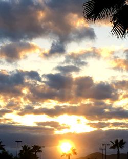 Low angle view of silhouette palm trees against orange sky