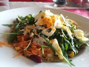 Close-up of salad in plate