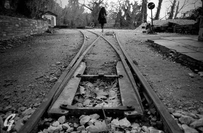 Railroad track amidst trees