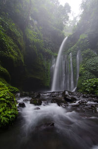 View of waterfall in forest