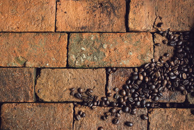 High angle view of coffee beans on bricks