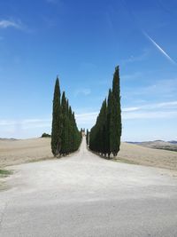 Panoramic view of road amidst trees against sky