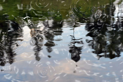 High angle view of duck swimming in water