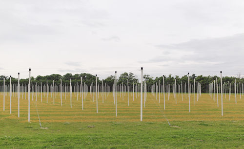 Scenic view of fence on grassy field