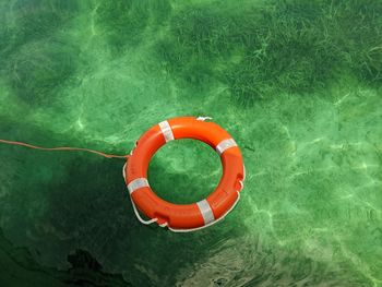 Life belt in crystal clear sea