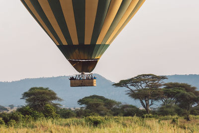 Low angle view of hot air balloons against sky