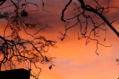 Low angle view of silhouette bare tree against orange sky