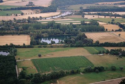 High angle view of agricultural field