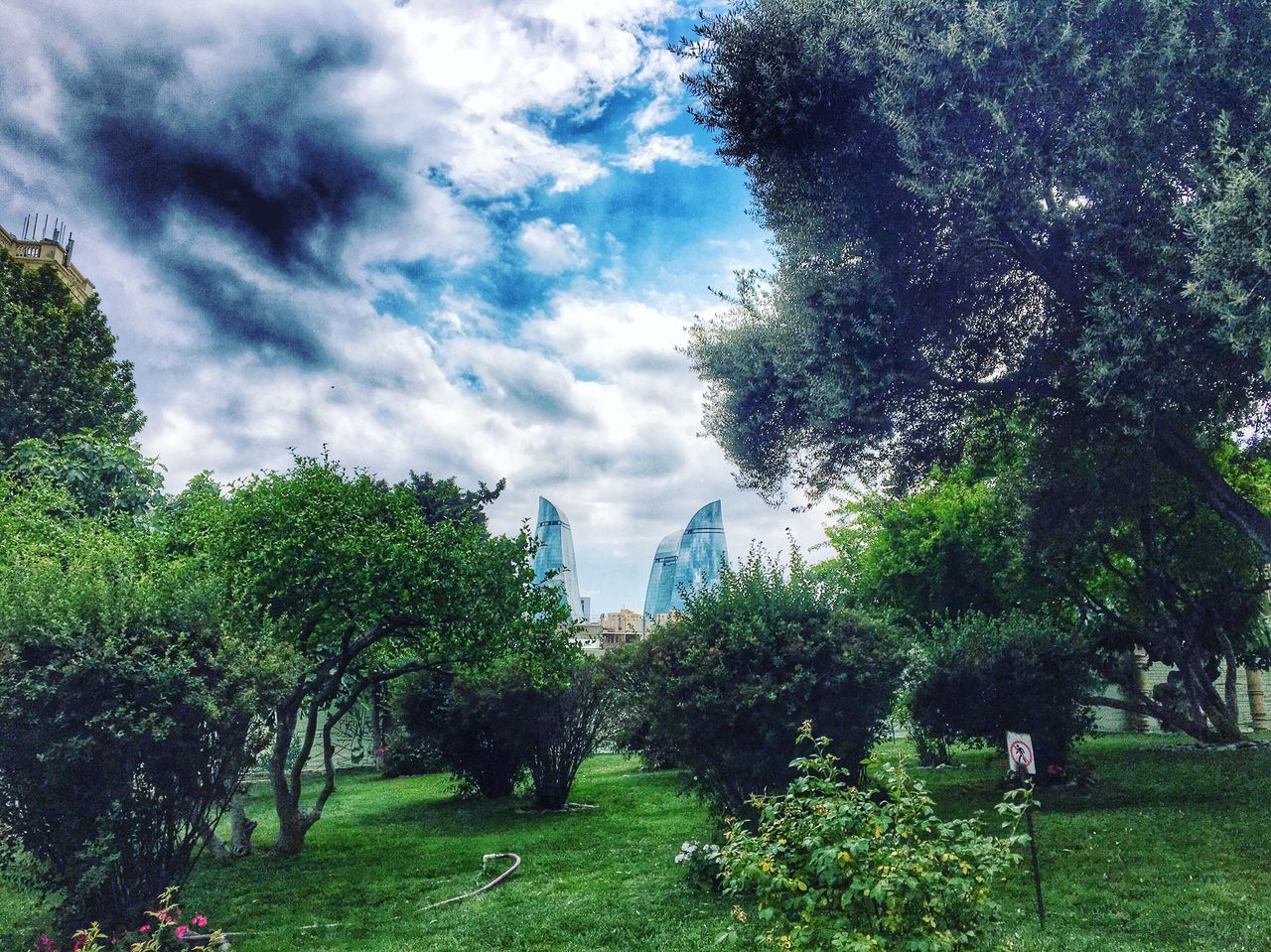 TREES ON GRASSY FIELD AGAINST CLOUDY SKY