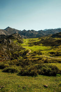 Scenic view of landscape against clear sky