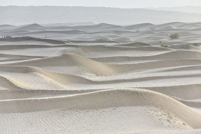 Scenic view of desert