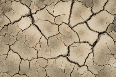 View of cracked land