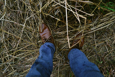 Low section of man standing on field