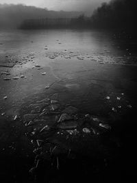 Birds flying over water against sky