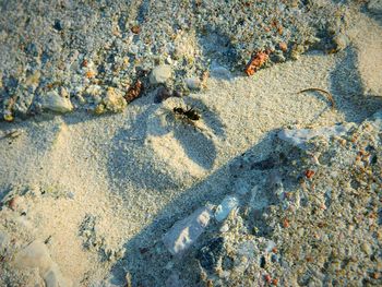 Full frame shot of sand