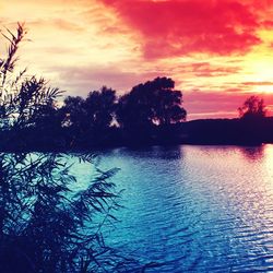 Silhouette trees by lake against sky at sunset