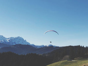 Paraglider