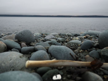 Surface level of pebbles at beach against sky