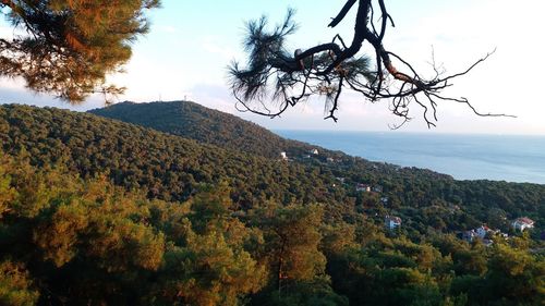 Scenic view of mountains against sky during autumn