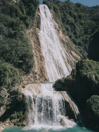 Scenic view of waterfall in forest