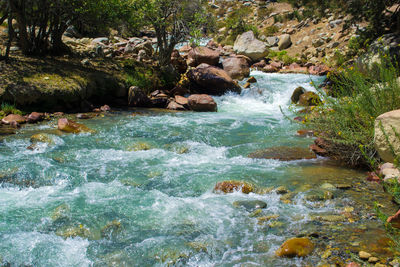 Scenic view of waterfall in forest