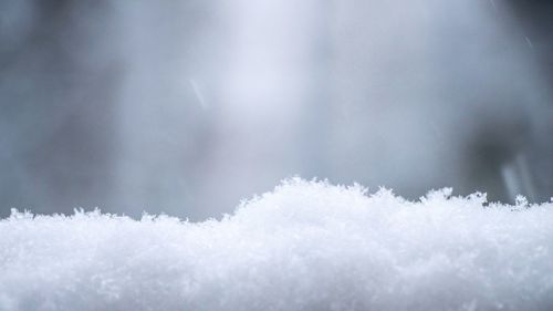 Close-up of icicles on snow