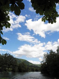 Scenic view of lake by trees against sky