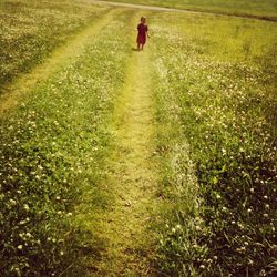 Full length of girl standing on grassy field