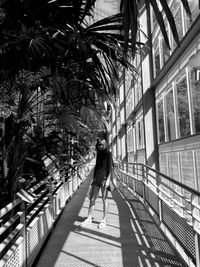 Rear view of woman walking on palm trees