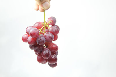 Close-up of hand holding grapes against white background