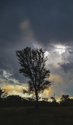 Silhouette tree on field against sky during sunset