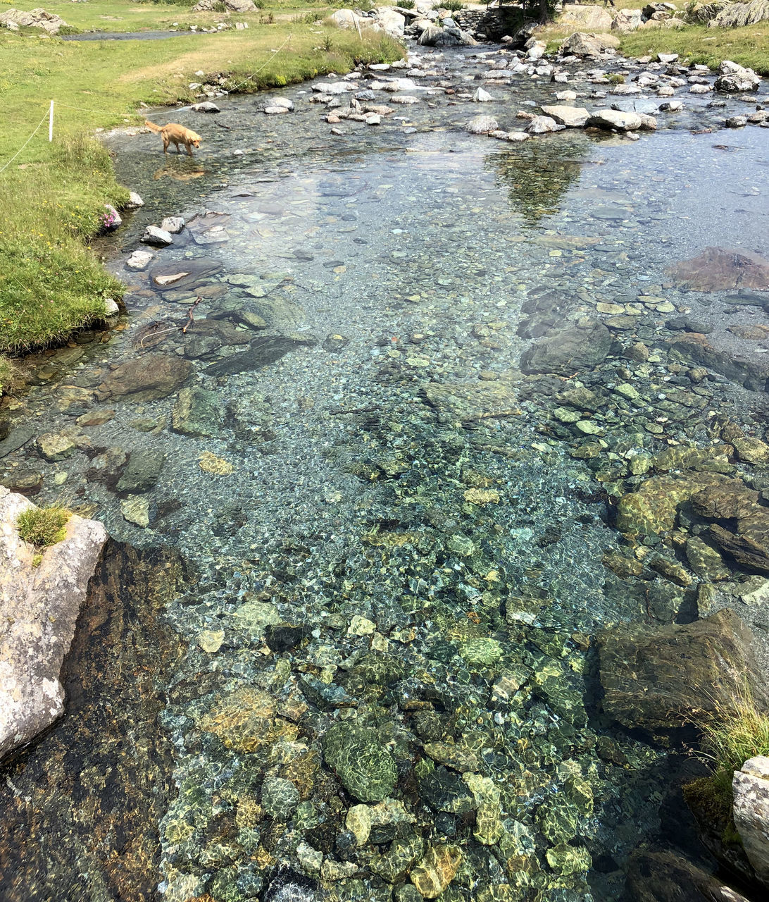 HIGH ANGLE VIEW OF STREAM AMIDST ROCKS