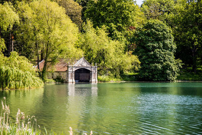 Scenic view of lake in forest