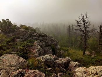 View of rocks on land against sky