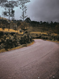 Road amidst plants and trees against sky