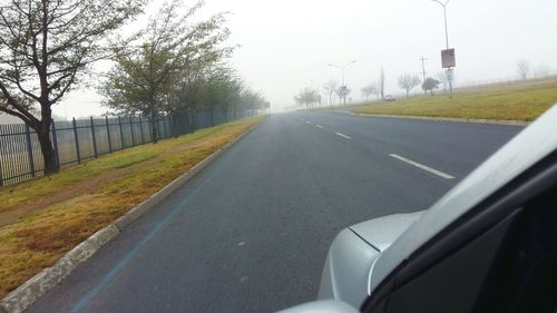 Road passing through forest