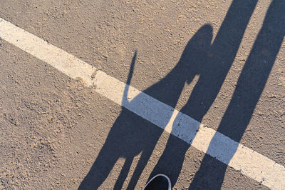 shadow