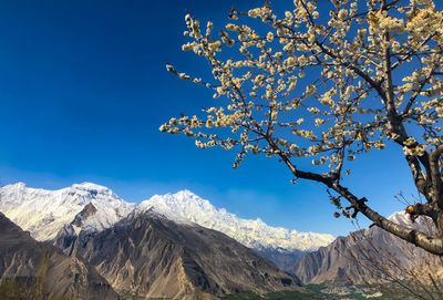 Low angle view of snowcapped mountains against clear sky